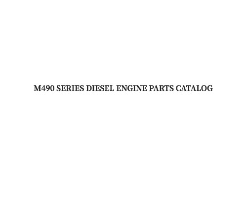 Двигатель TSS Diesel TDR-K 25 4L (29091) Двигатель TSS Diesel TDR-K 25 4L (29091)