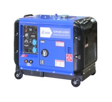 Дизельный сварочный генератор в кожухе TSS PRO DGW 3.0/250ES-R
