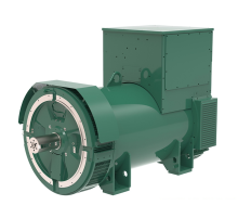 Leroy Somer LSA53.2 XL11 (10,5 кВ)