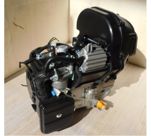 Двигатель бензиновый в сборе /Engine,SC80